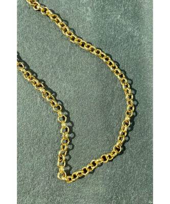 Rolo Gold Minimal Necklace 1