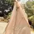 Mesmerizing Peach dori, zari, and resham embroidered organza semi stitched wedding lehenga