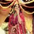 Comely Red dori, zarkan, and resham embroidered raw silk semi stitched wedding lehenga