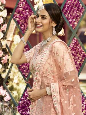 Peach embroidered crepe semi stitched lehenga 2