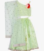 Saka Designs Green Lehenga choli with flowers on the yoke