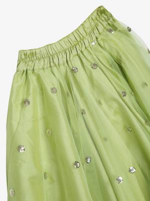 Saka Designs Green Ruffled Lehenga Choli  5