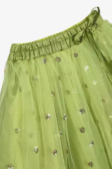 Saka Designs Neon Green And Magenta Lehenga Choli With Sequenced Work
