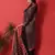 Black digital print cotton salwar