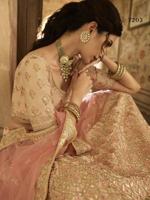 Peach zari, gota and thread embroidered crepe silk semi stitched lehenga 2