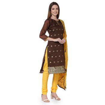 Brown embroidered banarasi silk salwar 2