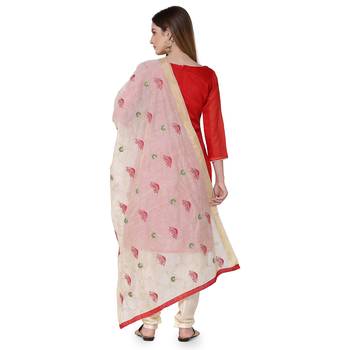 Red embroidered chanderi salwar 3