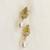 White pearl earrings