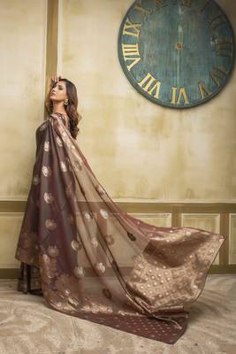Brown woven cotton saree with blouse 2