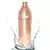Bisleri Design Copper Bottle  Storage Water  Best for Travel  Ayurveda Healing   800 ML