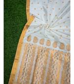 White Pure Paat  Mulberry Assam Silk Saree with Golden Zari