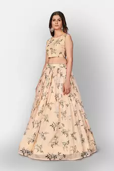 Cream Coloured Semi Stitched Lehenga & Unstitched Blouse with Dupatta