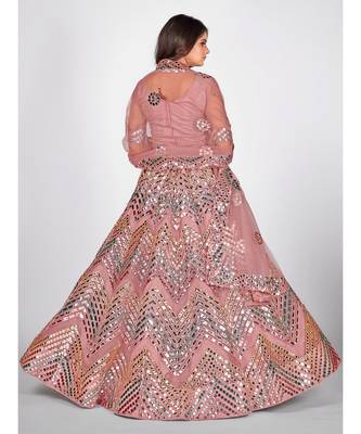 Pink & Silver Foil Zari Semi Stitched Lehenga & Unstitched Blouse with Dupatta 2
