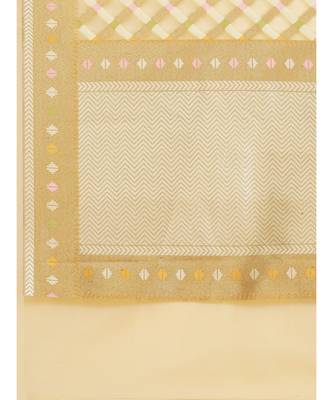 beige organza   saree with blouse 4
