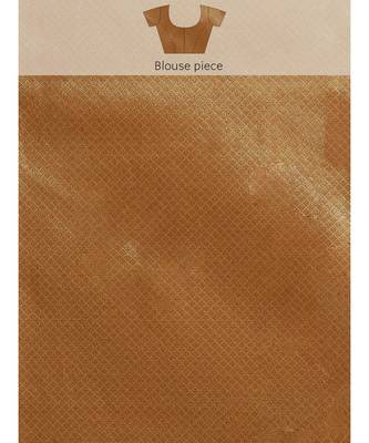 beige organza   saree with blouse 5