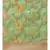 green organza   saree with blouse