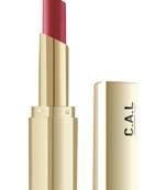 Intense Matte Oxblood Lipstick