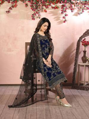 Navy-blue embroidered net salwar 3