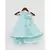 Blue Star Net High Low Dress