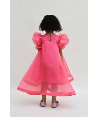 Blue Organza And Pink Printed Dress 2