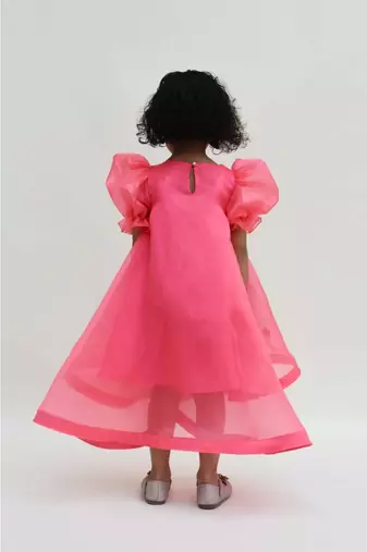 Blue Organza And Pink Printed Dress