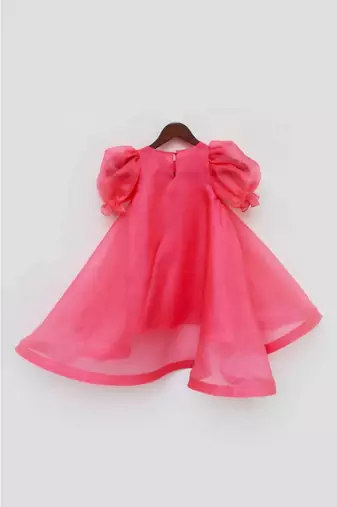 Blue Organza And Pink Printed Dress