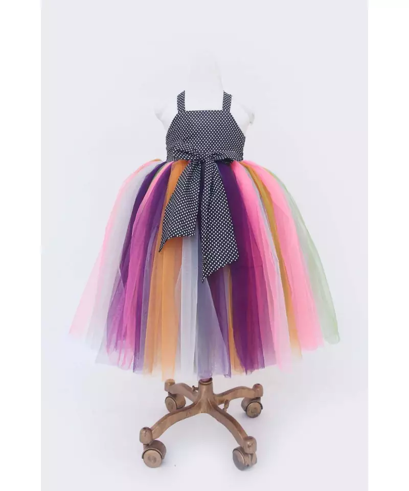 Multi Colored Net Gown