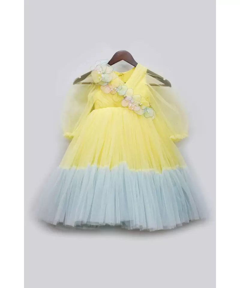 Yellow and Blue Net Gown