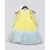 Yellow and Blue Net Gown