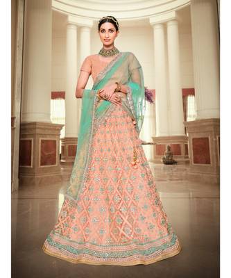 Nakkashi Peach colour net lehenga having sky blue colour net duppata paired 1