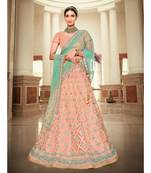 Nakkashi Peach colour net lehenga having sky blue colour net duppata paired