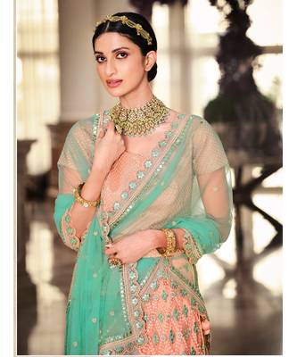 Nakkashi Peach colour net lehenga having sky blue colour net duppata paired 3
