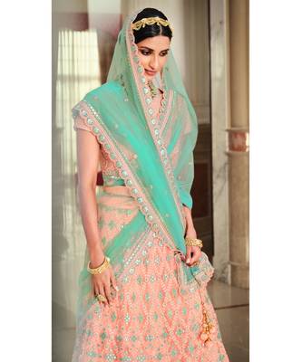 Nakkashi Peach colour net lehenga having sky blue colour net duppata paired 4