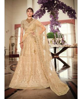 Nakkashi Beige colour net lehenga having beige colour net duppata 1