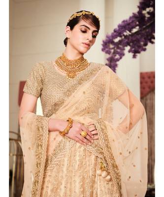 Nakkashi Beige colour net lehenga having beige colour net duppata 2