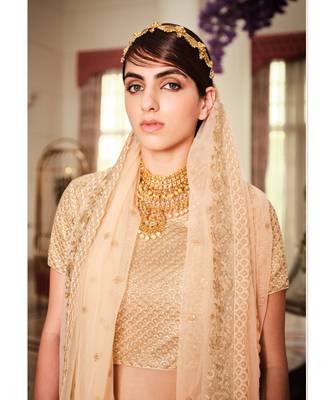Nakkashi Beige colour net lehenga having beige colour net duppata 3