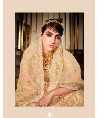 Nakkashi Beige colour net lehenga having beige colour net duppata 4