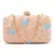 Adorn Peach & Multi Velvet Floral Embellished Clutch