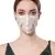 Anekaant   Ply cream & multi Faux Silk Foliage Embellished Fabric Fashion Mask