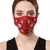 Anekaant   Ply Maroon & Gold Faux Silk Floral Embellished Fabric Fashion Mask
