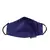 Anekaant   Ply Navy Blue & Silver Faux Silk Botanical Embellished Fabric Fashion Mask