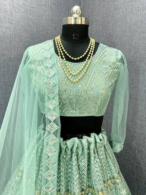 Sea-green embroidered net  lehenga 3