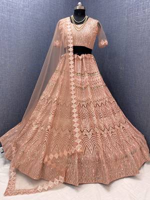 Peach embroidered net  lehenga 2