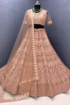 Peach embroidered net  lehenga