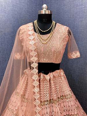 Peach embroidered net  lehenga 3