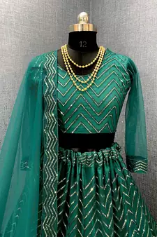 Green embroidered net  lehenga