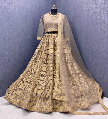Chiku embroidered net semi stitched lehenga 1