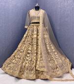 Chiku embroidered net semi stitched lehenga