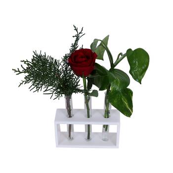 Ratash Corian Solid Surface Hydroponic Test Tube Planter Rectangular Twinkling White with 3 Glass Test Tube 5