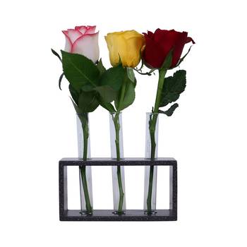 Ratash Corian Solid Surface Hydroponic Test Tube Planter Rectangular Twinkling White with 3 Glass Test Tube 1
